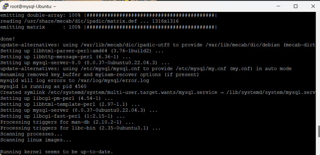 MySQL and phpMyAdmin on Ubuntu VPS 02